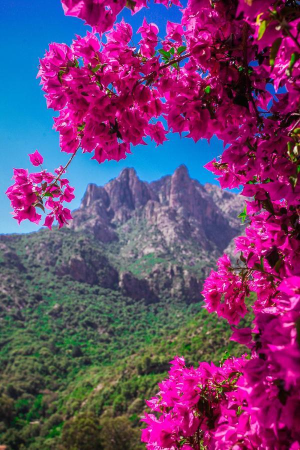 Отель Capo D'Orto - Porto - Corse Экстерьер фото