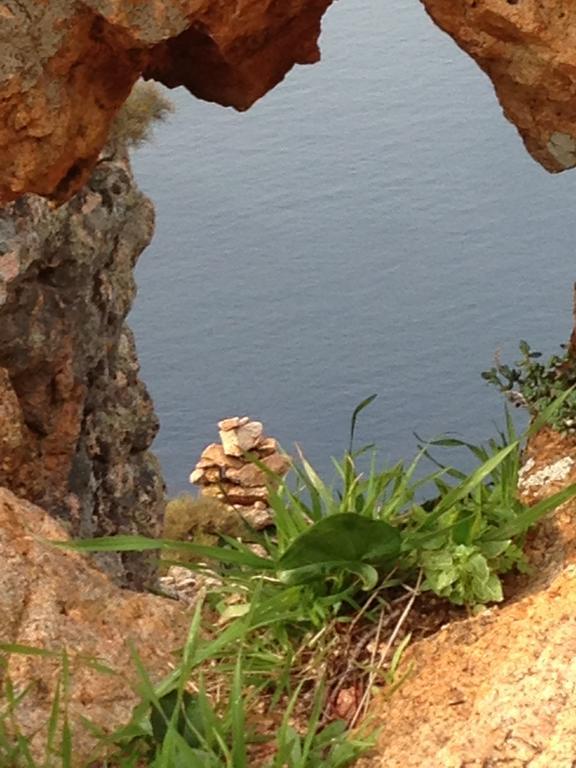 Отель Capo D'Orto - Porto - Corse Экстерьер фото