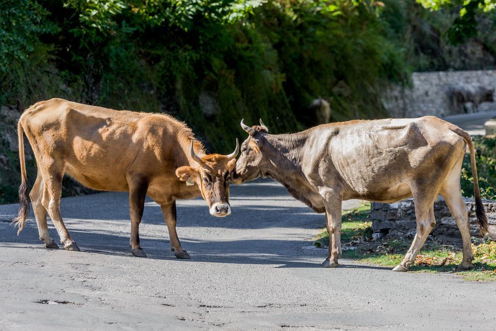 Отель Capo D'Orto - Porto - Corse Экстерьер фото